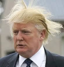 donald-trump-hair-blown-by-wind