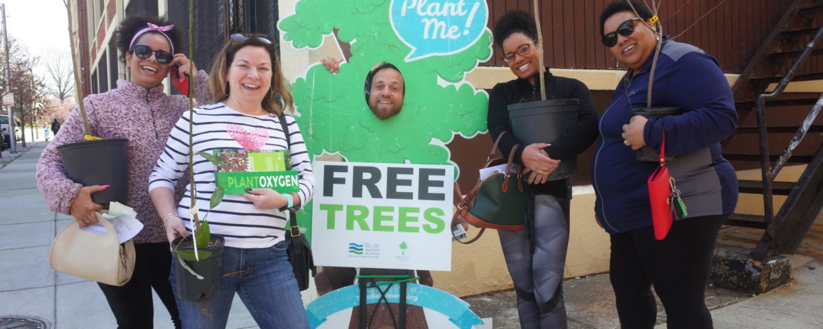 free trees Baltimore county